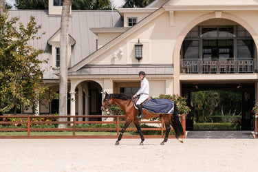 Horseware Ireland Amigo Ripstop Exercise Sheet