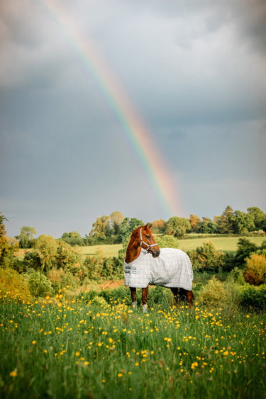 Horseware Ireland Newmarket Fly Sheet Witney Charcoal