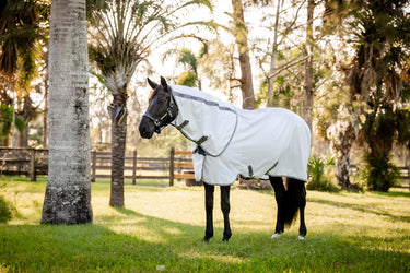Horseware Ireland Amigo Summer Sheet Plus Rug
