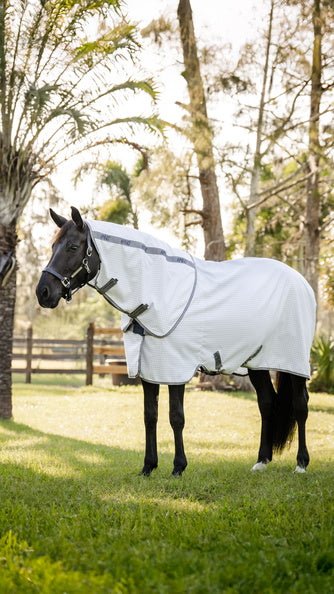 Horseware Ireland Amigo Summer Sheet Plus Rug