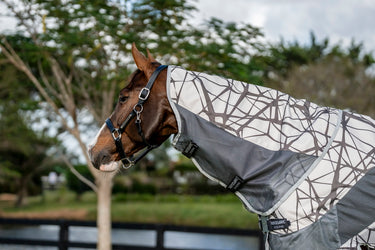 Horseware Ireland Amigo Camofly 3-In-1 Plus Rug