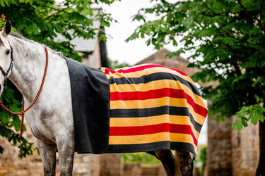 Horseware Ireland Newmarket Fleece (Square)
