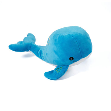 Buy Ancol Made From Whale | Online for Equine