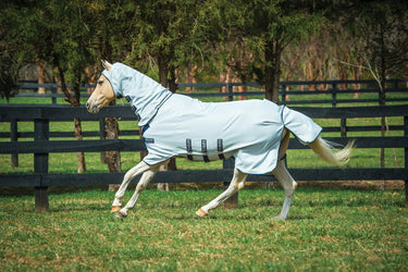 Horseware Ireland Rambo Pony Hoody Grey / Beige / Baby Blue & Navy