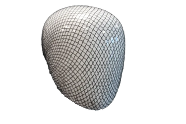 Aburnets Standard Weight Hairnet| Online For Equine