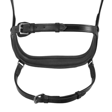 Buy Acavallo Allegoria Leather Bridle  | Online for Equine