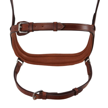 Buy Acavallo Allegoria Leather Bridle  | Online for Equine