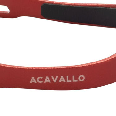 Buy Acavallo Arena Aluplus 2.0 SPUrs With Interchangeable Neck  | Online for Equine