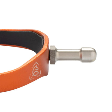 Buy Acavallo Arena Aluplus 2.0 SPUrs With Interchangeable Neck  | Online for Equine