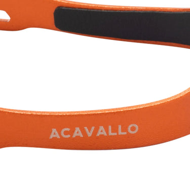 Buy Acavallo Arena Aluplus 2.0 SPUrs With Interchangeable Neck  | Online for Equine