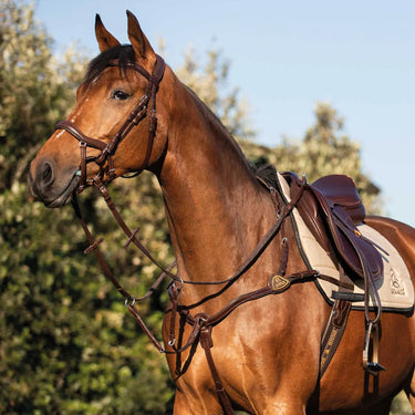 Buy Acavallo Calfskin Leather 5 Point Attachment Breastplate  | Online for Equine