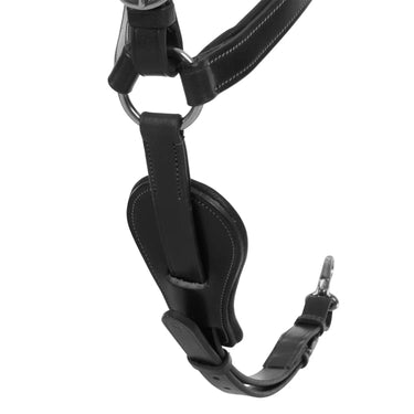 Buy Acavallo Calfskin Leather 5 Point Attachment Breastplate  | Online for Equine