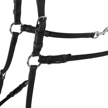 Buy Acavallo Calfskin Leather 5 Point Attachment Breastplate  | Online for Equine