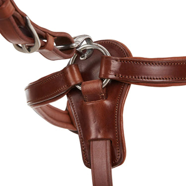 Buy Acavallo Calfskin Leather 5 Point Attachment Breastplate  | Online for Equine