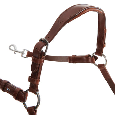 Buy Acavallo Calfskin Leather 5 Point Attachment Breastplate  | Online for Equine