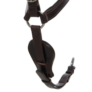 Buy Acavallo Calfskin Leather 5 Point Attachment Breastplate  | Online for Equine