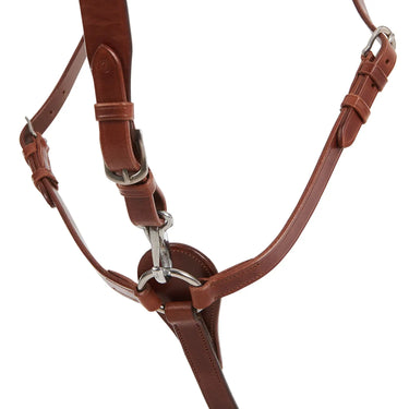 Buy Acavallo Calfskin Leather Hunting Breastplate  | Online for Equine