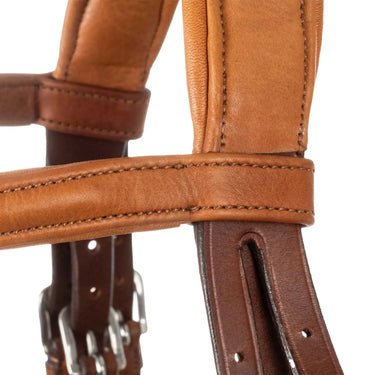 Buy Acavallo Filosofia Leather Bridle  | Online for Equine