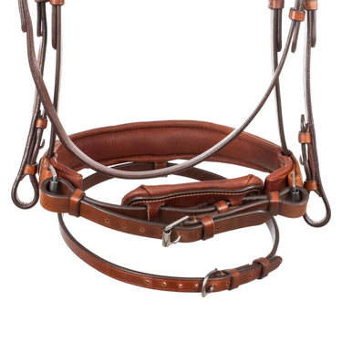 Buy Acavallo Filosofia Leather Bridle  | Online for Equine
