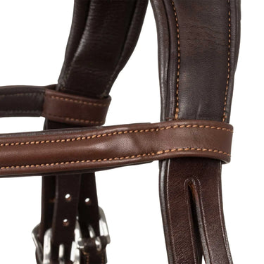 Buy Acavallo Filosofia Leather Bridle  | Online for Equine