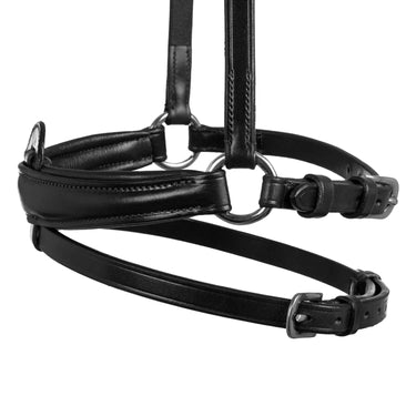 Buy Acavallo Flash Noseband  | Online for Equine