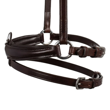 Buy Acavallo Flash Noseband  | Online for Equine
