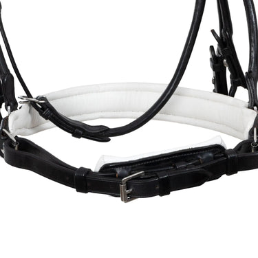 Buy Acavallo Fornarina Rolled Leather Bridle  | Online for Equine