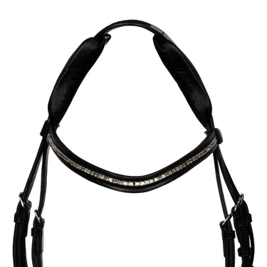 Buy Acavallo Impressione Hannoverian PUll Back Noseband Anatomic Leather Bridle  | Online for Equine
