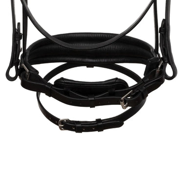 Buy Acavallo Impressione Hannoverian PUll Back Noseband Anatomic Leather Bridle  | Online for Equine