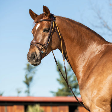 Buy Acavallo Italian Leather And Round Nylon Chambon  | Online for Equine