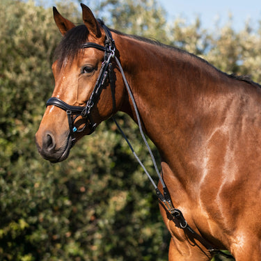 Buy Acavallo Italian Leather And Round Nylon Dori Gogue  | Online for Equine