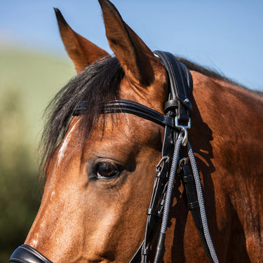 Buy Acavallo Italian Leather And Round Nylon Dori Gogue  | Online for Equine