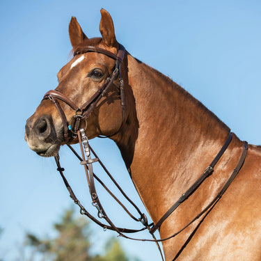 Buy Acavallo Italian Leather And Round Nylon Thiedemann Reins  | Online for Equine