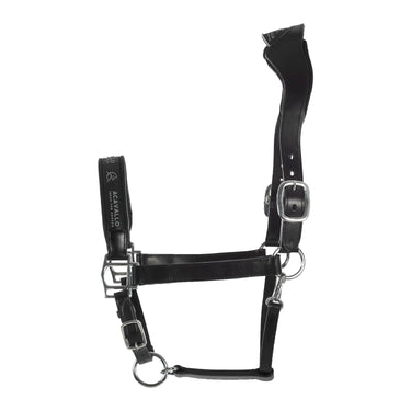 Buy Acavallo Leather Halter With Ergonomic Pollguard - Calfskin Lining  | Online for Equine
