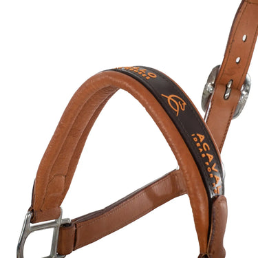 Buy Acavallo Leather Halter With Ergonomic Pollguard - Calfskin Lining  | Online for Equine