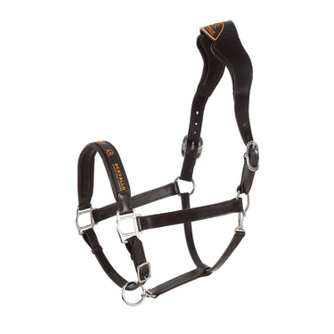 Buy Acavallo Leather Halter With Ergonomic Pollguard - Calfskin Lining  | Online for Equine