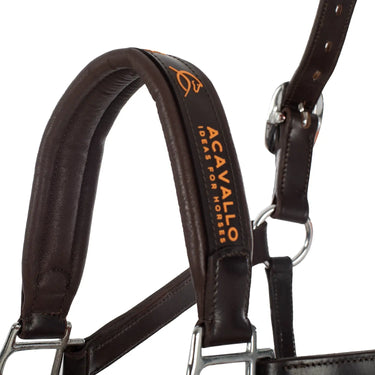 Buy Acavallo Leather Halter With Ergonomic Pollguard - Calfskin Lining  | Online for Equine