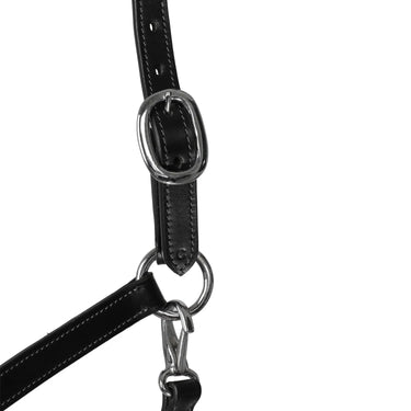 Buy Acavallo Leather Halter With Ergonomic Pollguard - Rope Noseband  | Online for Equine