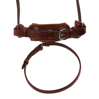 Buy Acavallo Maesta' Leather Bridle  | Online for Equine
