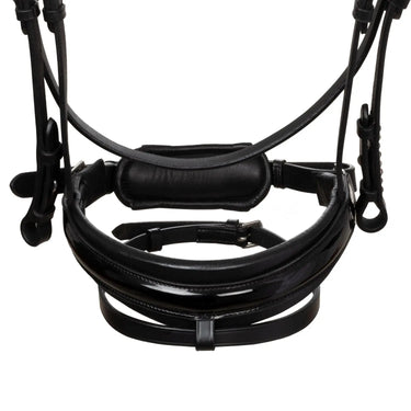 Buy Acavallo Olympia Straight Noseband Soft Anatomic Leather Bridle  | Online for Equine