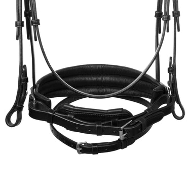 Buy Acavallo Ophelia Straight Noseband Anatomic Leather Bridle  | Online for Equine