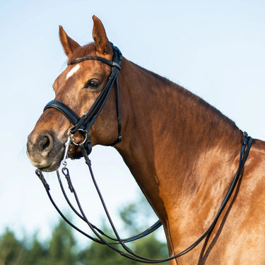 Buy Acavallo Parnaso Rolled Leather Double Reins Bridle  | Online for Equine