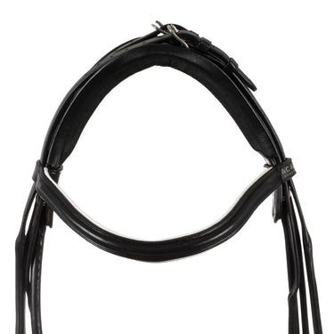 Buy Acavallo Parnaso Rolled Leather Double Reins Bridle  | Online for Equine