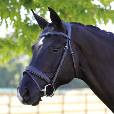 Buy Acavallo Primavera Leather Bridle  | Online for Equine