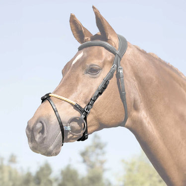 Buy Acavallo Rope Flash Noseband  | Online for Equine