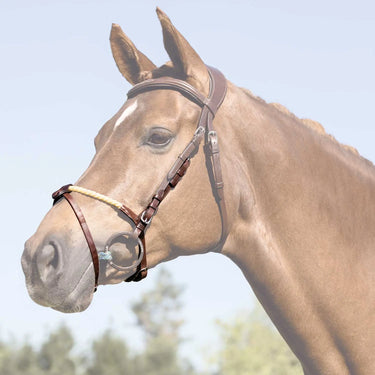 Buy Acavallo Rope Flash Noseband  | Online for Equine