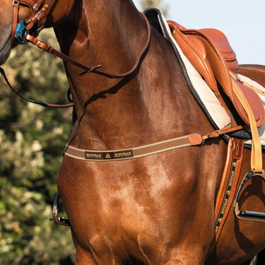 Buy Acavallo Single Elastic Breastplate  | Online for Equine