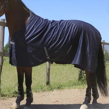 Buy Acavallo Spring Sheet Rug  | Online for Equine