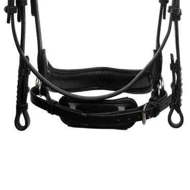 Buy Acavallo Sunset Bitless Noseband Soft Anatomic Leather Bridle  | Online for Equine
