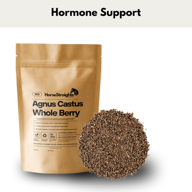 Agnus Castus - Chaste Tree - Whole Berry| Online For Equine